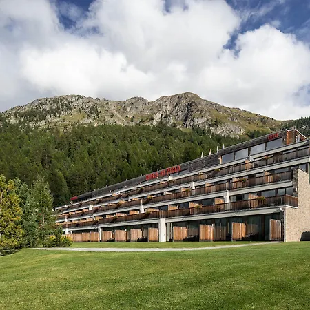 Nira Alpina-2